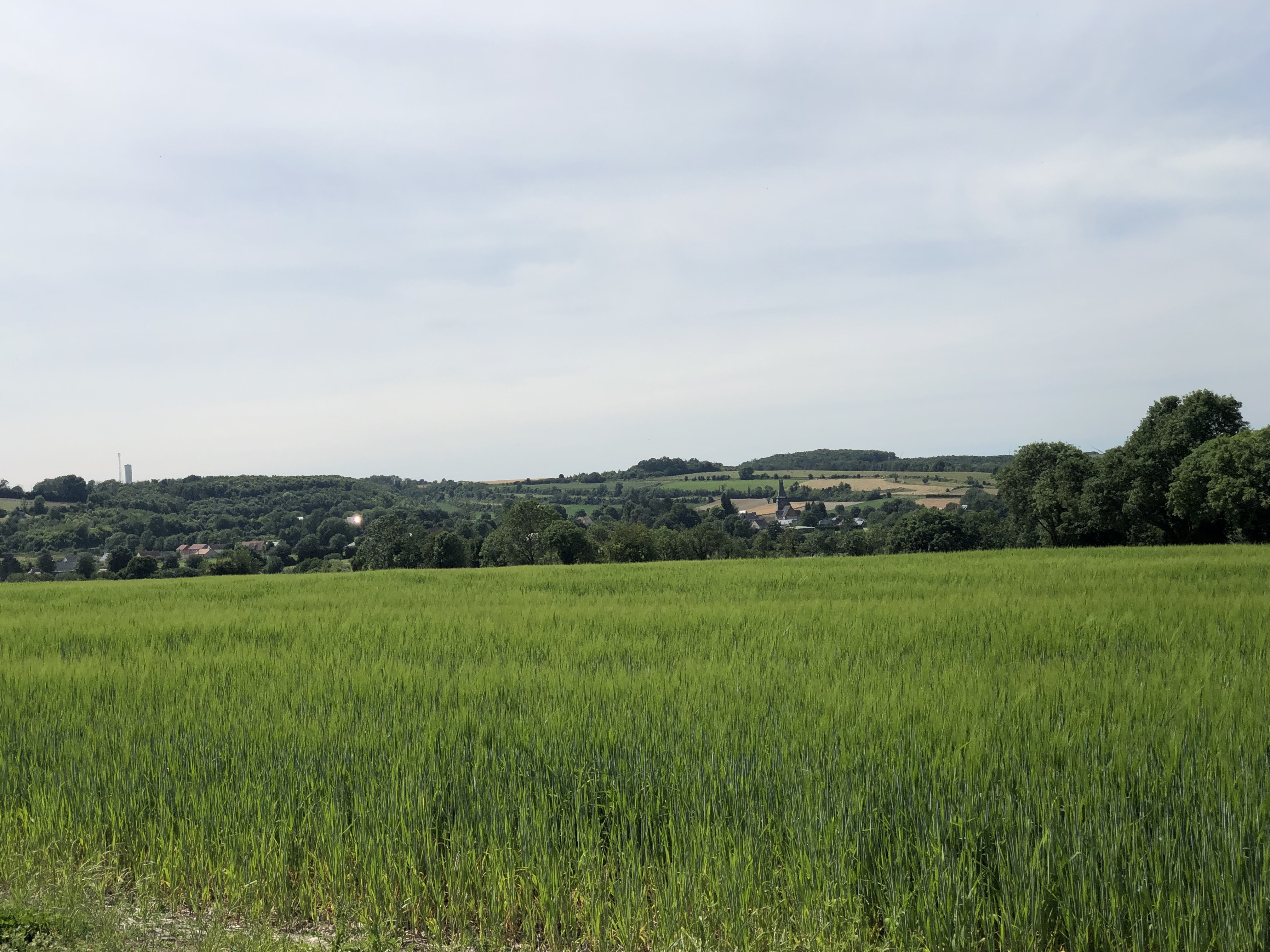 Randonnée l'après-midi dans la campagne autour de Sommery.