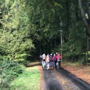Nous passons devant le haras et le château....