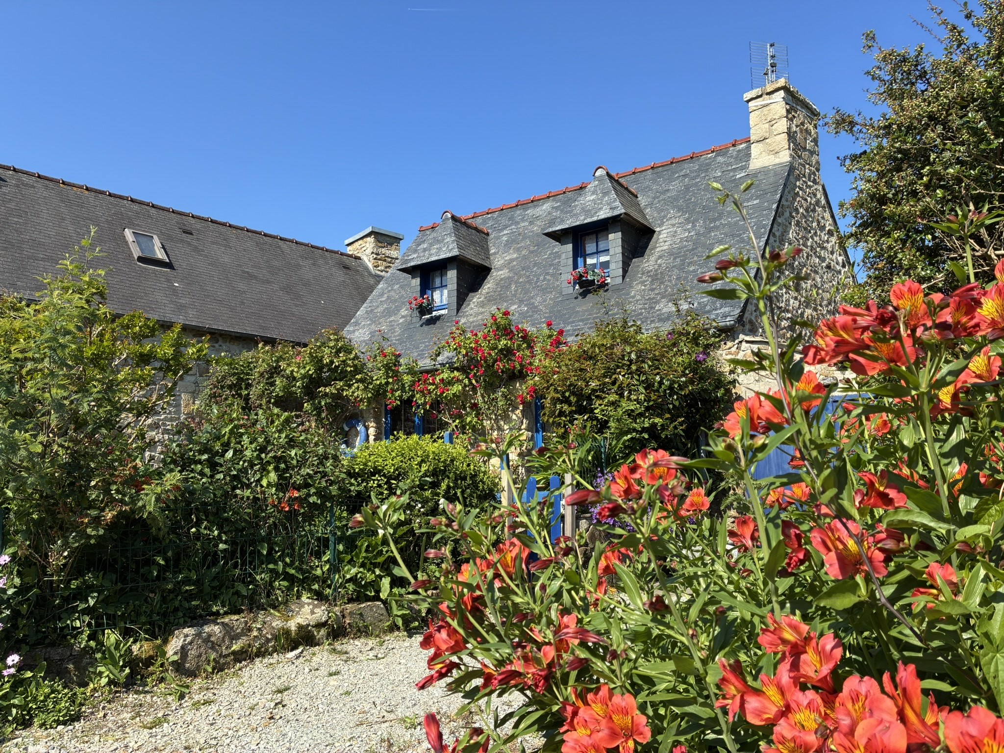 Nous revenons par l'intérieur , belles maisons fleuries ....