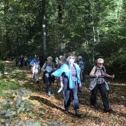 Petite randonnée dans la forêt de Lyons à Vascoeuil avant l'AG