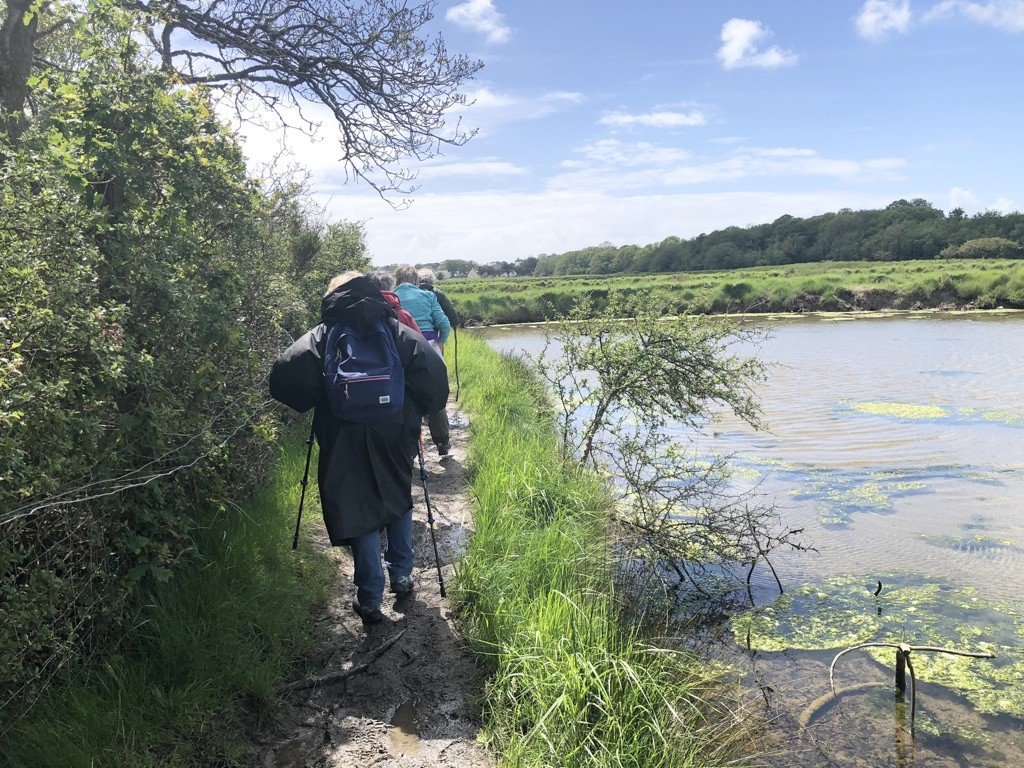 Après le pique-nique, nous allons marcher dans la bôle de Merquel.