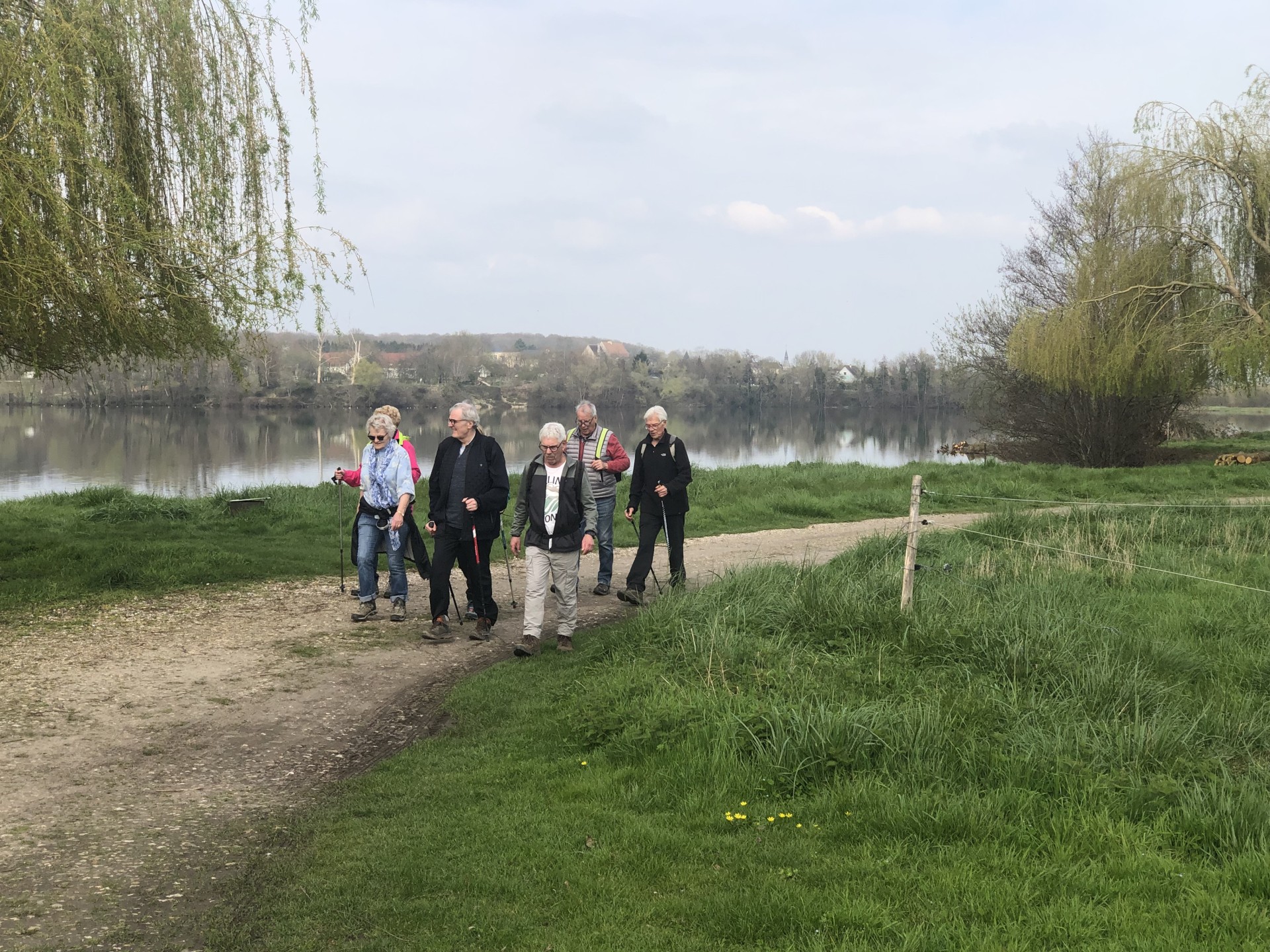 Nous longeons le lac de Jumièges : aigrettes , héron et ....