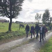 Randonnée , avant l'AG, au départ de Bosc Guérard .