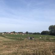 Puis nous traversons la campagne autour de Saint Aubin