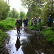 Isabelle croyait pouvoir marcher sur l'eau !