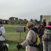 Les ruines du château fort de Vatteville la Rue