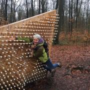Les Seinomarins se sont amusés dans la forêt monumentale !