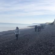 Nous commençons par marcher un peu sur les galets avec une très belle vue sur les falaises