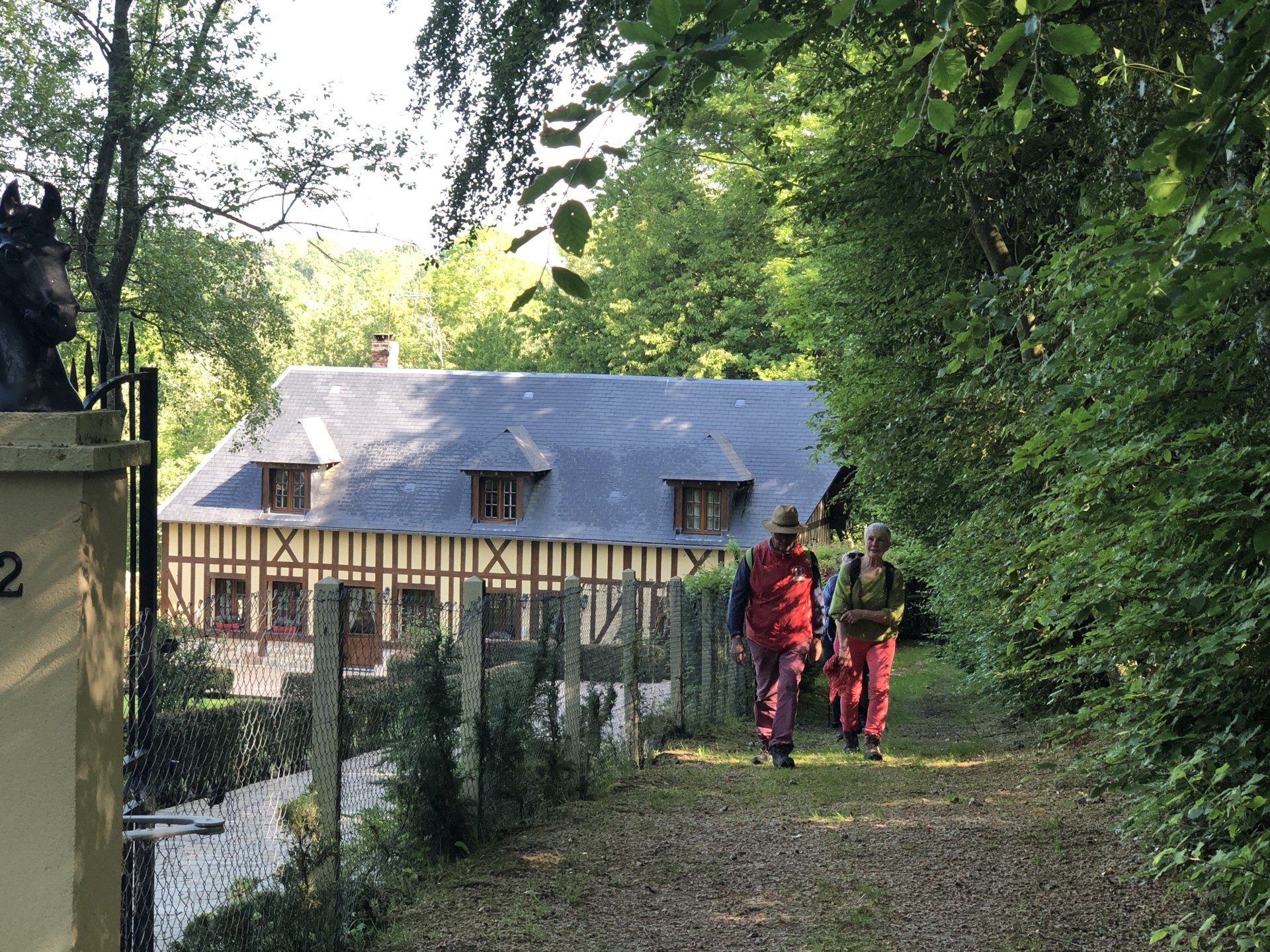 Une montée dans la forêt...