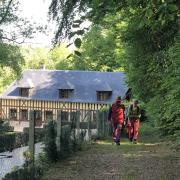 Une montée dans la forêt...