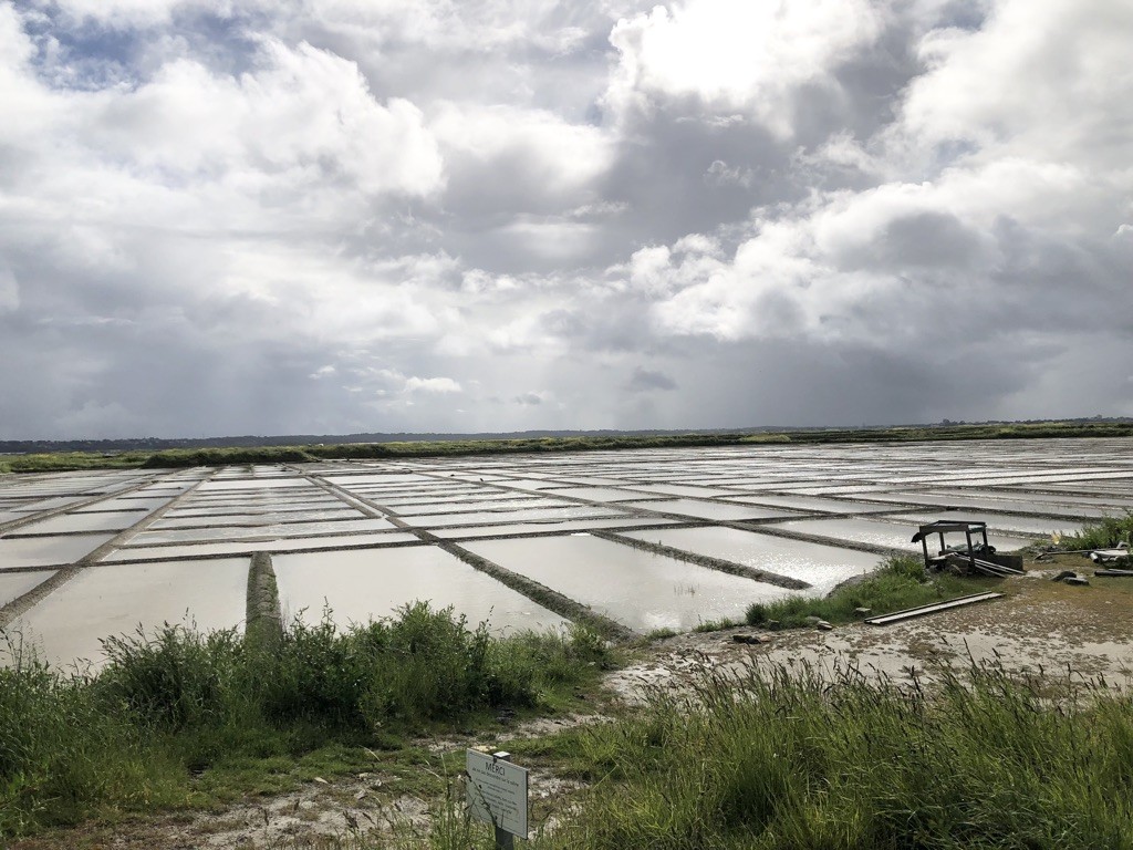 ...à la limite des marais salants de Guérande.