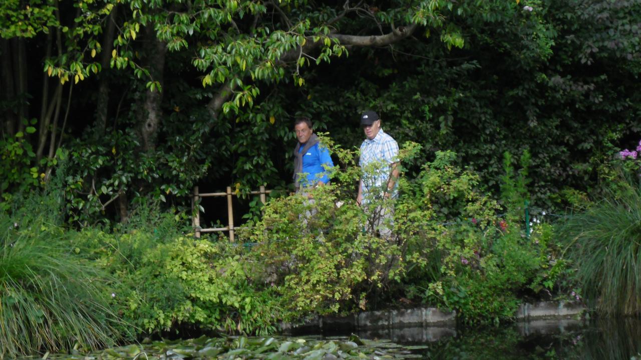 Promenade dans ce superbe jardin de Monet