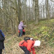 Cueillette des jonquilles à AUFFAY le 19 03 15
