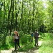 Lundi APM montée sur les hauteurs d'Armeau avec notre guide Morgane