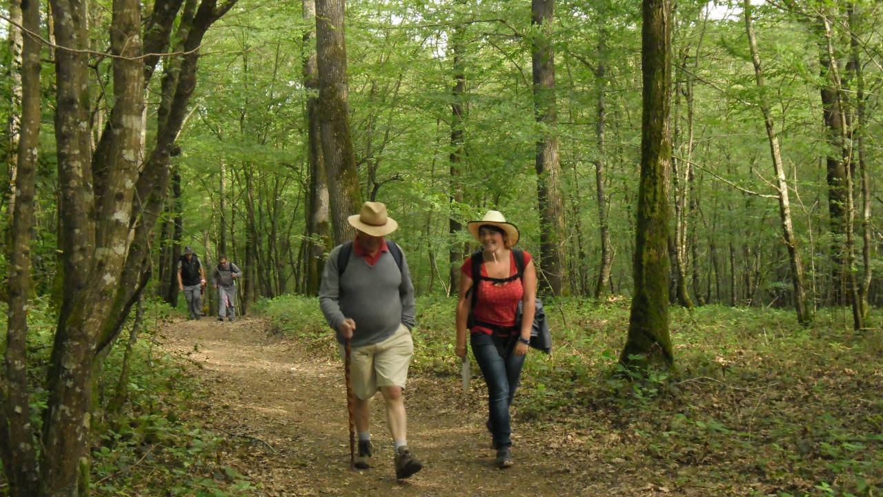 Entre bois et champs le mardi