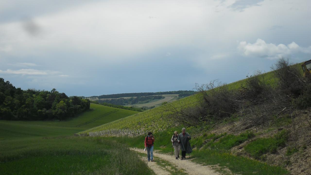 Après midi randonnée autour de Chitry