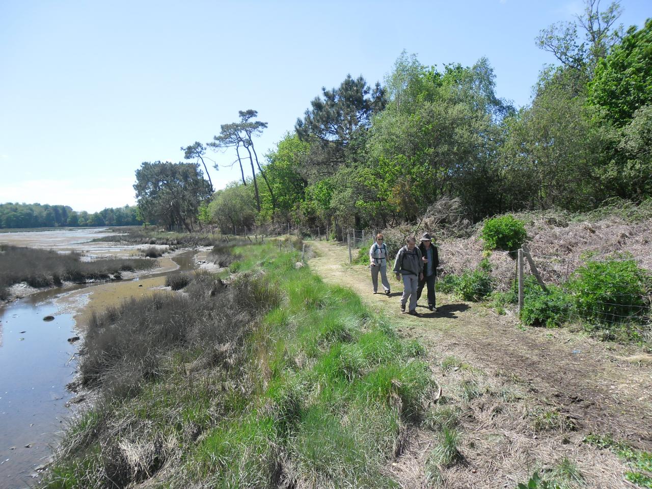 Ria d'Etel au Gouarde