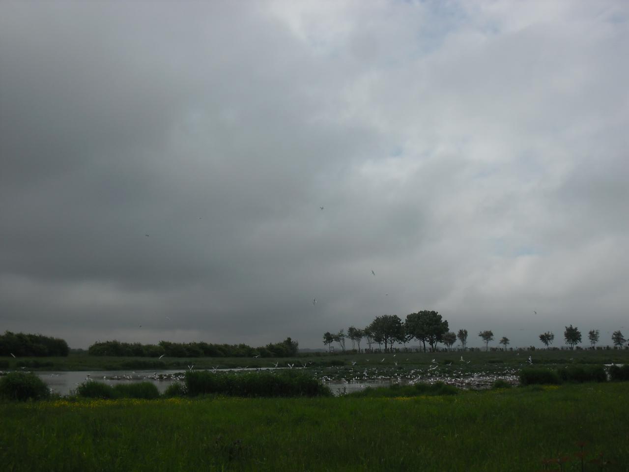 Maison des oiseaux Pointe du Hourdel