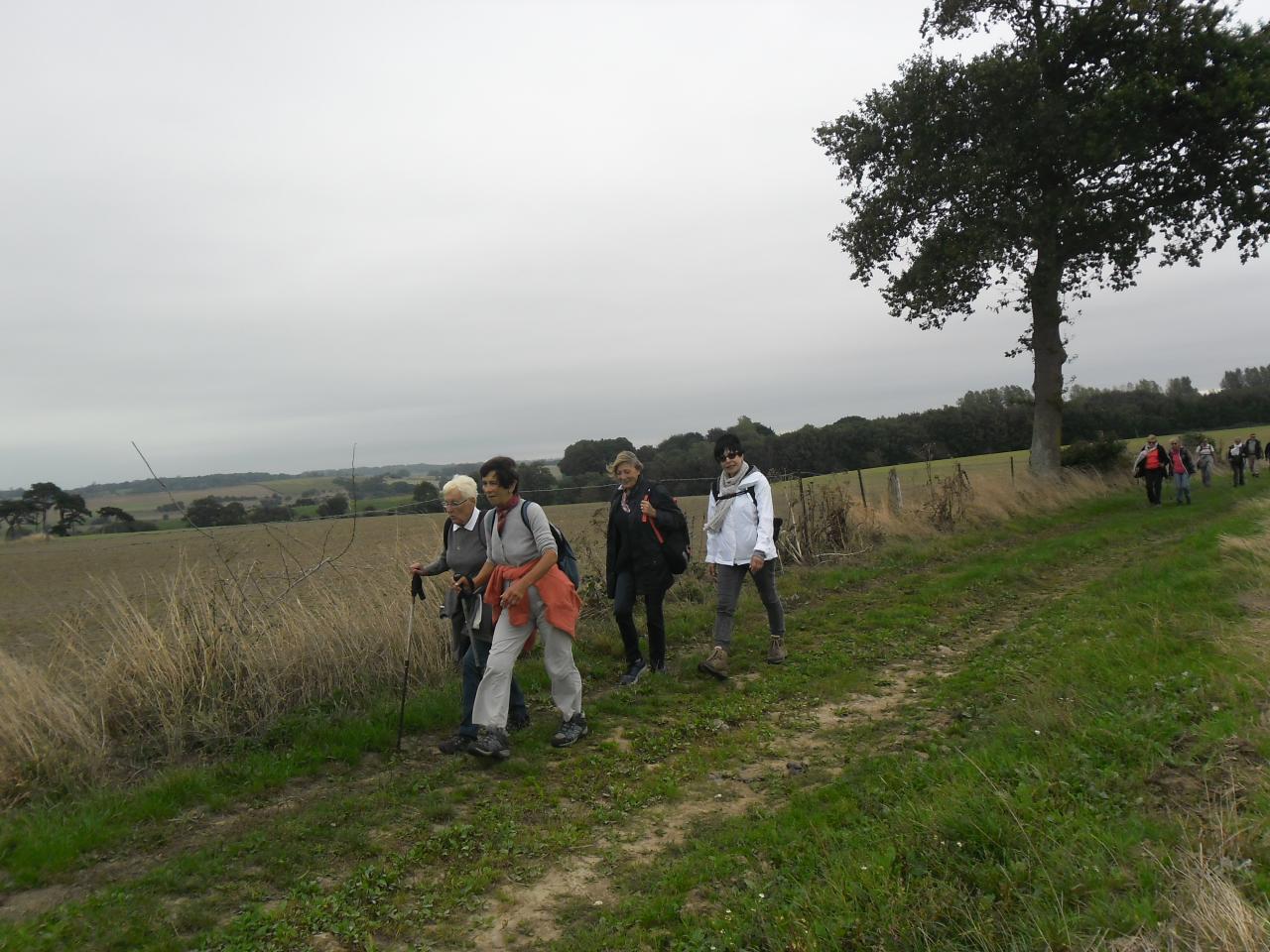Randonnée en bord de Sâane à Longueil et sur les hauteurs de Quiberville