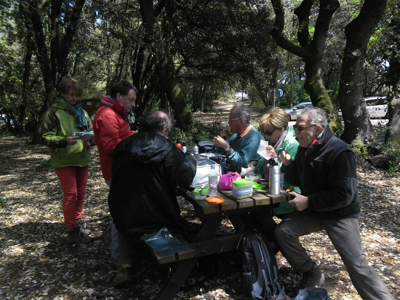 Noirmoutier : pique nique au Bois de la Chaize