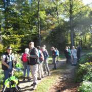 Pause dans la forêt de Caumont