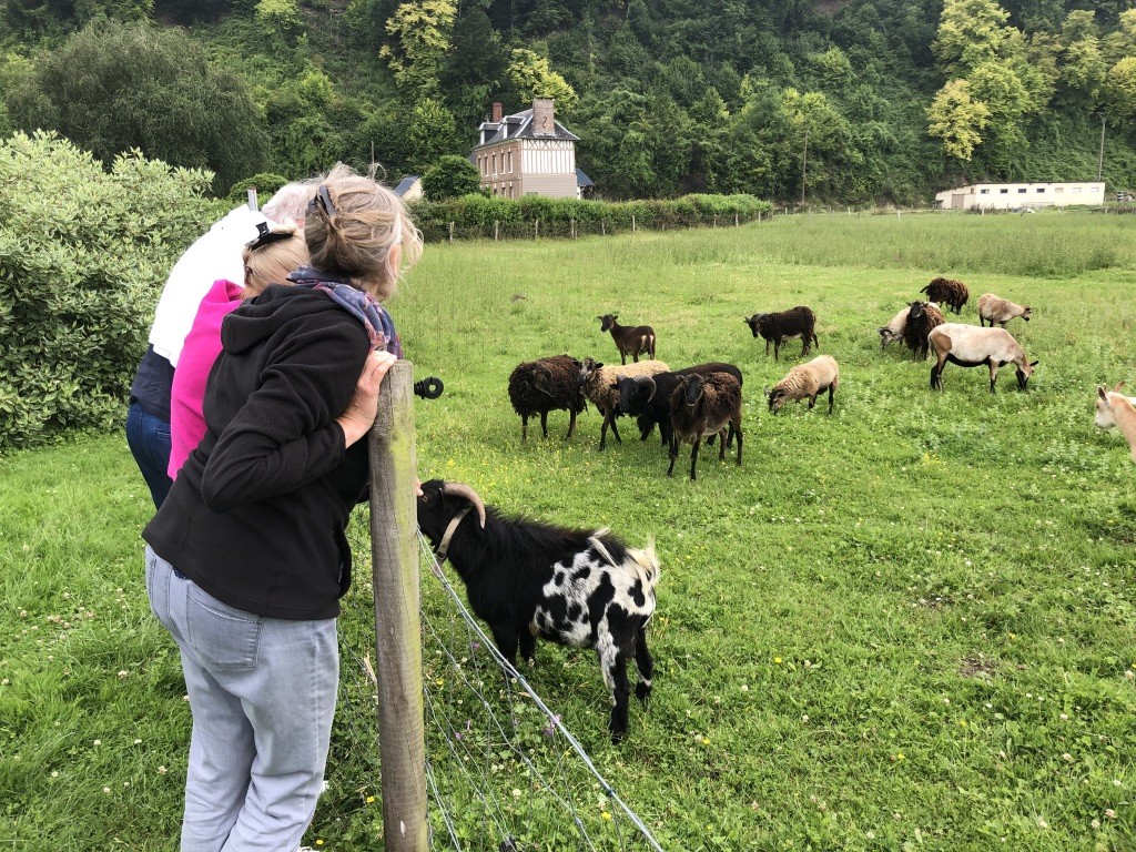Rencontre avec nos amies les bêtes !