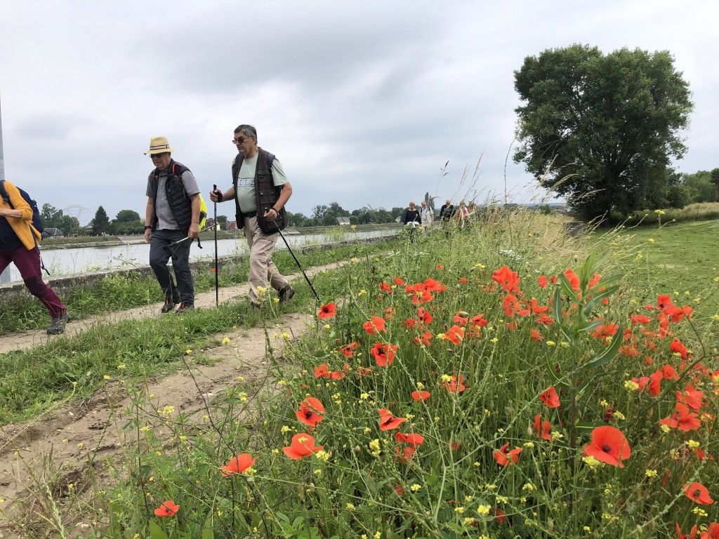 Retour aux voitures par le bord de Seine