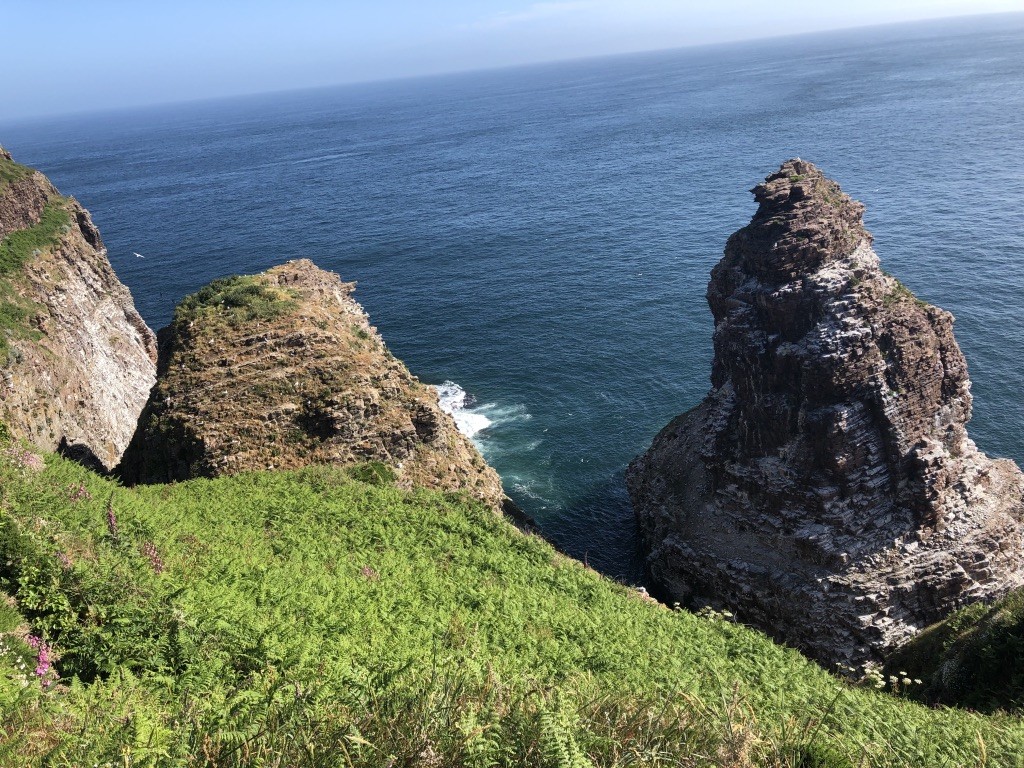 Isabelle nous fait découvrir tous les oiseaux marins qui nichent sur ces rochers ...