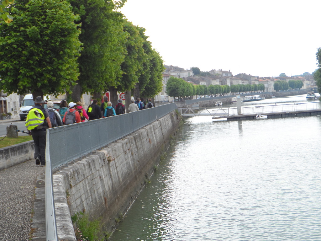 Le long de la Charente à Saint Savinien