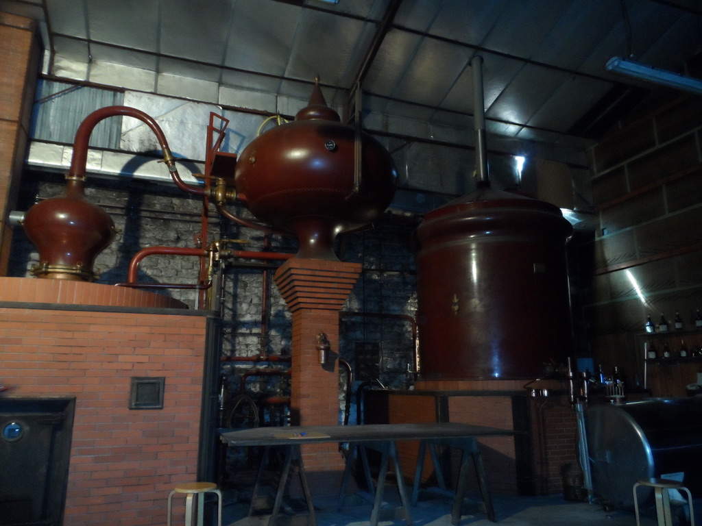 Delphine nous dit tout sur la fabrication du pineau et du cognac