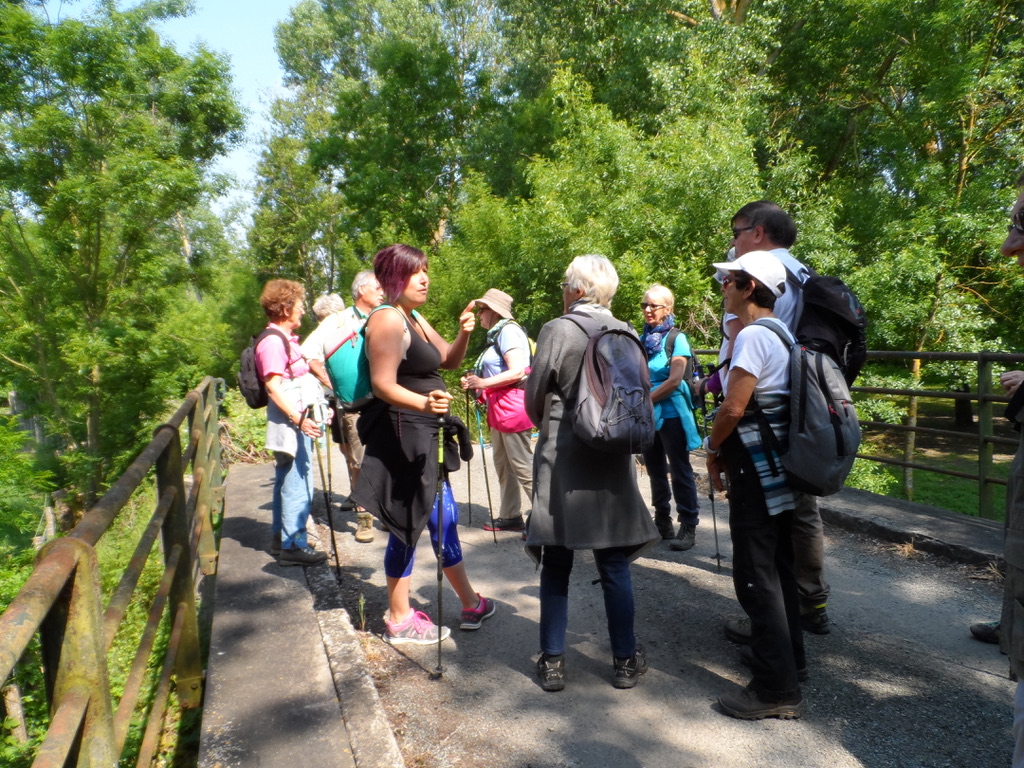 Deuxième jour, randonnée dans le Marais Poitevin à partir d'Arçais avec Angélique