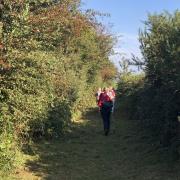 Montée sur un chemin qui nous mène en haut de la falaise .