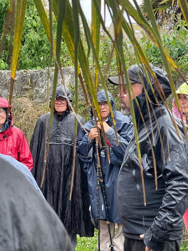 Les jardins de l'hôtel de ville ...sous la pluie !