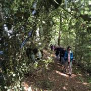 ...et nous continuons sur des chemins forestiers
