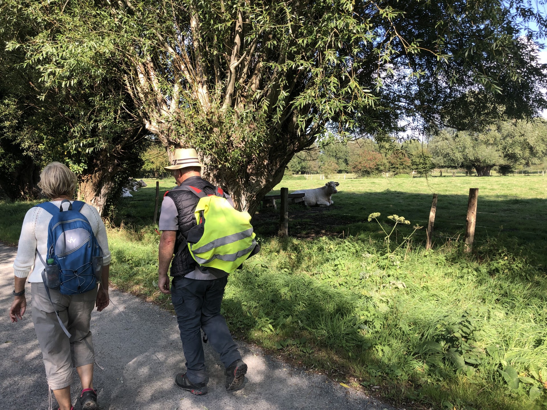Retour vers le canal de la Somme
